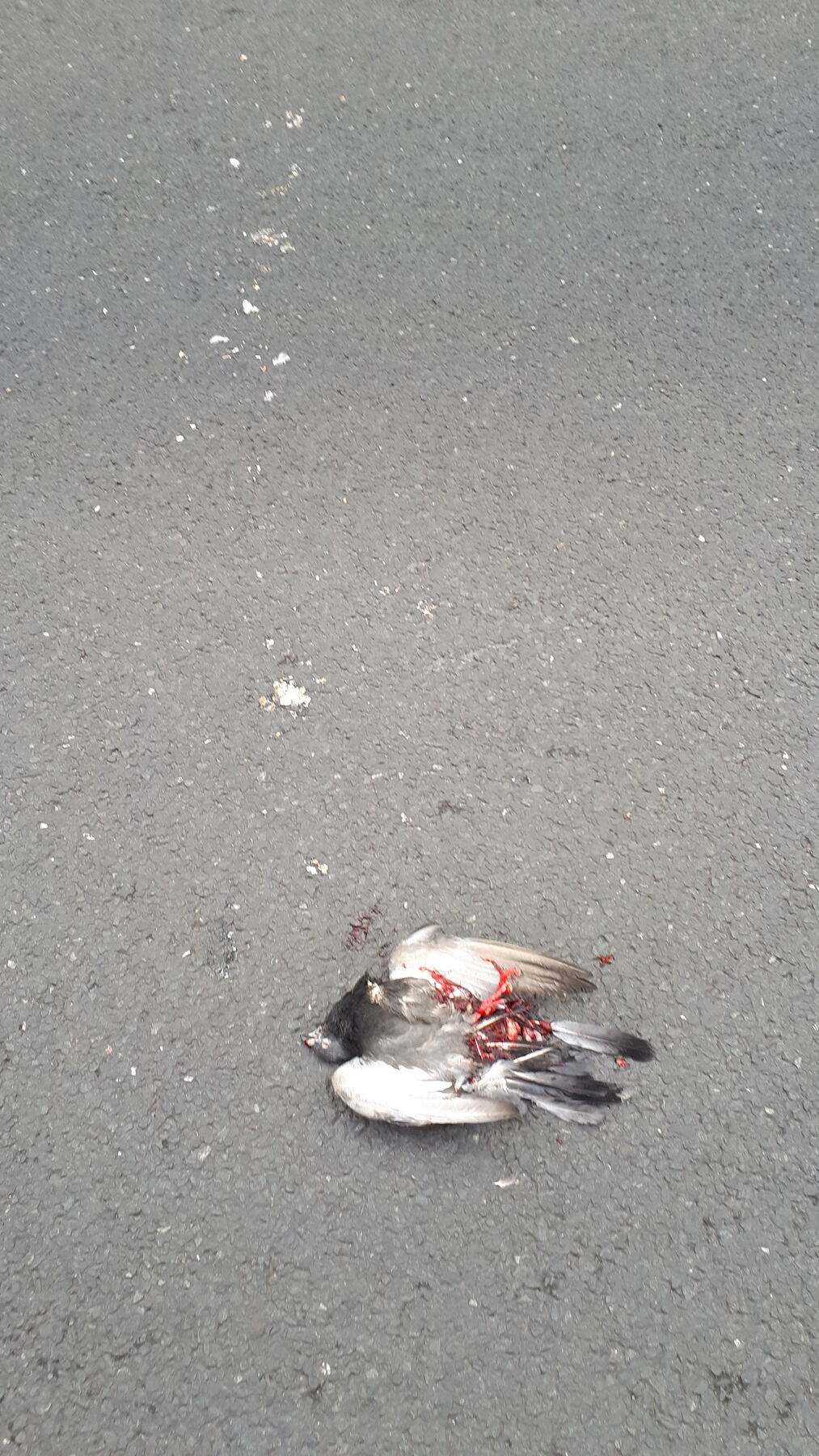 Photographie